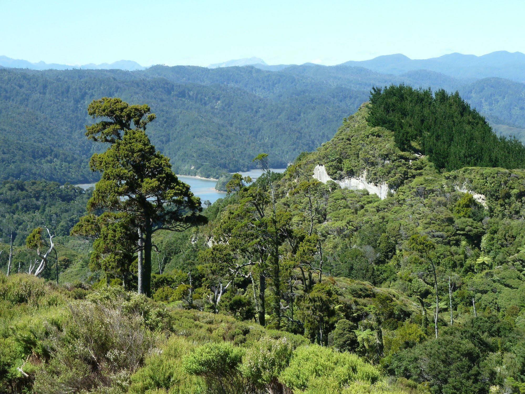 Villa Westhaven Retreat Collingwood Esterno foto